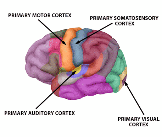 5 Facts About Aphasia